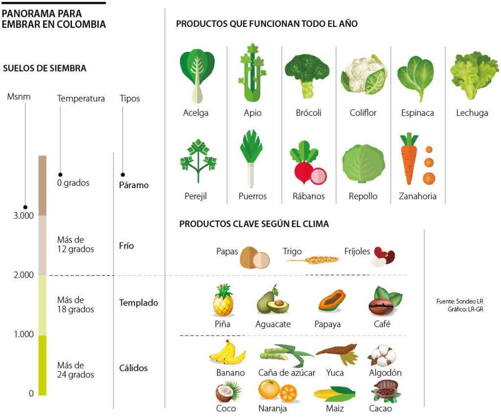 Cómo cultivar flores tropicales en climas templados