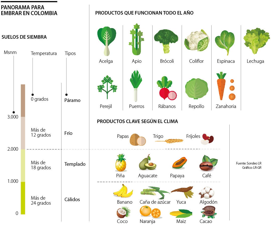 Cómo cultivar flores tropicales en climas templados - MasPlantillas