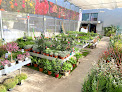 Negocio Aduna Garden
