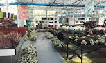 Negocio Altzibar Centro De Jardineria / Vivero De Plantas