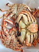 Negocio Angulas Y Mariscos Bruño E Hijos