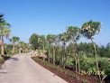 Negocio Árboles De Mallorca