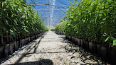 Negocio Bearn Viveros Y Plantas