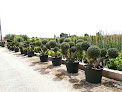 Negocio Benages Plants