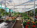 Negocio Bordas Garden Center