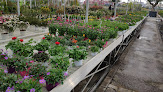 Negocio Bricojardin Cúllar Vega