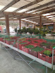 Campoastur Oviedo