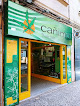 Negocio Cañimo