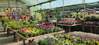 Negocio Centre De Jardinería Terra Nostra 1