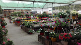 Negocio Centre Jardineria Masó-navarro