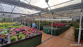 Negocio Centro De Jardineria El Acebo