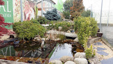 Negocio Centro De Jardinería Magal