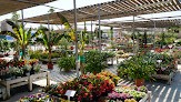 Negocio Edeen Centro Integral De Jardinería S.l