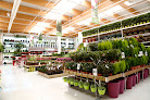 Negocio El Mercat Del Jardí