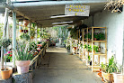 Negocio El Nou Garden