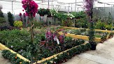 Negocio El Torruco Centro De Jardinería