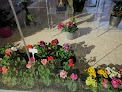 Negocio Floristería Sarriplant