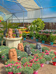 Negocio Garden Center Mandyplant