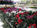 Negocio Garden En Casa