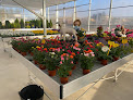 Negocio Garden Quirce