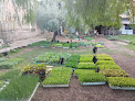 Negocio Garden Viver Can Palau