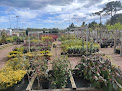 Negocio Hedera Centro De Jardineria