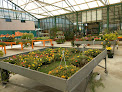 Negocio Helechos Jardinería