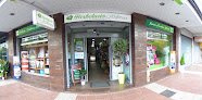 Negocio Herbolario Fátima