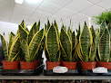 Negocio Hipergreenflores S.l