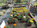 Negocio Horticultura Muns