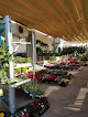 Negocio Huerto Y Jardín
