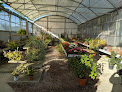 Negocio Igreen Garden