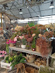 Negocio Jara Garden Center