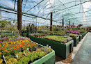 Negocio Jardín Mediterráneo Santa Eulalia S.l.