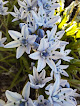 Negocio Jardinería Berdeko+zelaia Lorazainak