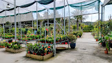 Negocio Jardineria Bisanyes