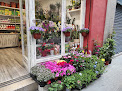 Negocio Jardinería Concepció