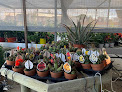 Negocio Malpica Vivero - Galcor Decoración Y Paisajes