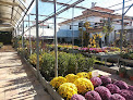 Negocio Mara Garden Center