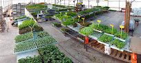 Negocio Planters Estrada