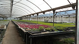 Negocio Planters Faura