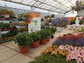 Negocio Poleplants Sl