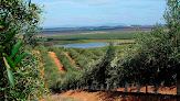 Negocio Servicio Agrícola Huelva | Agr - De Prado