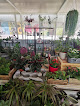 Negocio Vivero Can Roses