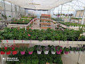 Negocio Vivero Green Garden