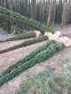 Negocio Vivero La Cerrada