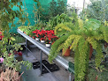 Negocio Vivero Mini Garden El Puerto