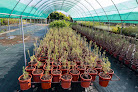 Negocio Vivero Provincial