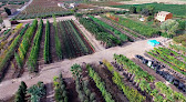 Negocio Viveros Ebro Sl