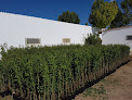 Negocio Viveros Gonzalo
